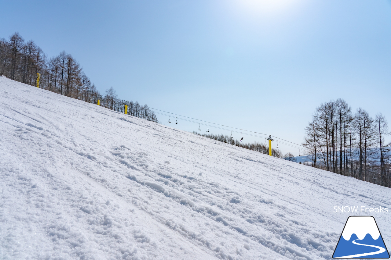 カムイスキーリンクス｜遂にやってきたポカポカ陽気！春雪コンディションのゲレンデに華麗なシュプールを描きましょう(^^)/